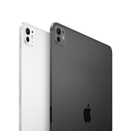 Apple iPad Pro 11-inch (M4) Wifi + Celular 256Gb + Estuche