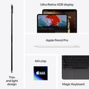 Apple iPad Pro 11-inch (M4) Wifi + Celular 256Gb + Estuche