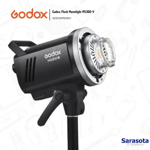 [GOD029] Godox Flash Monolight MS300-V